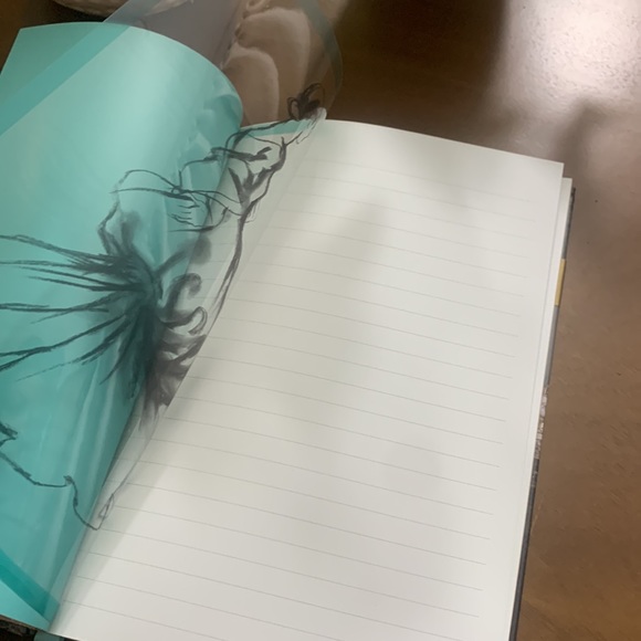 Charles James: Beyond Fashion Ball Gowns Journal - Picture 5 of 8